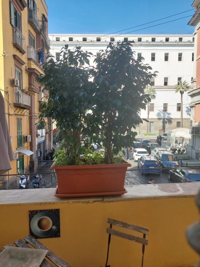 Concept B&B Napoli Dış mekan fotoğraf